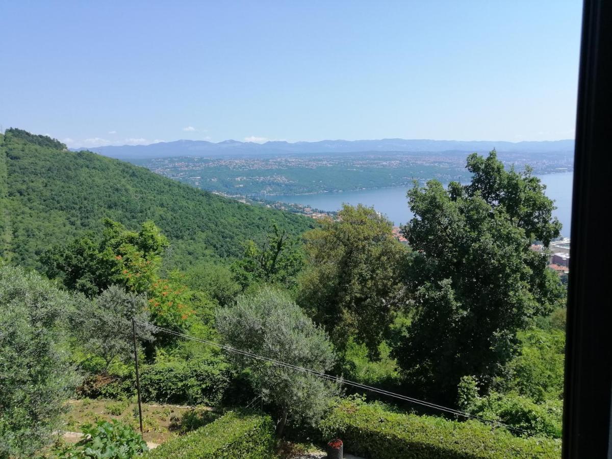 Irena Apartmán *